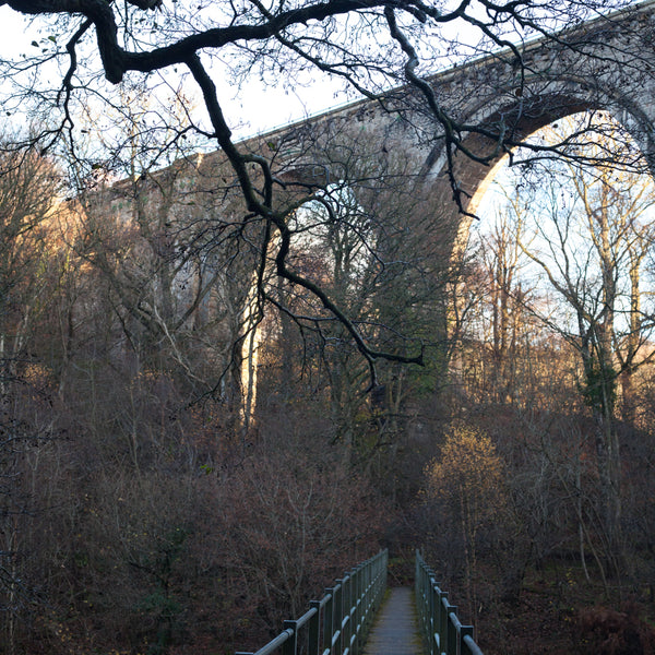 lambley viaduct