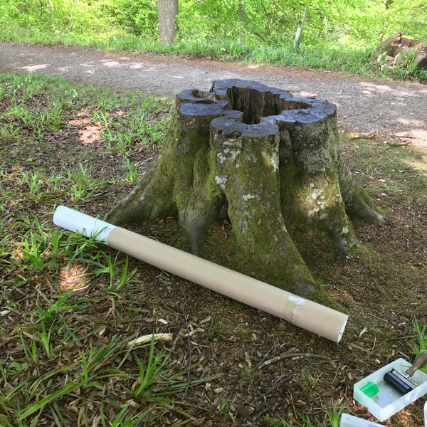 tree stump printing shou sugi ban northumberland