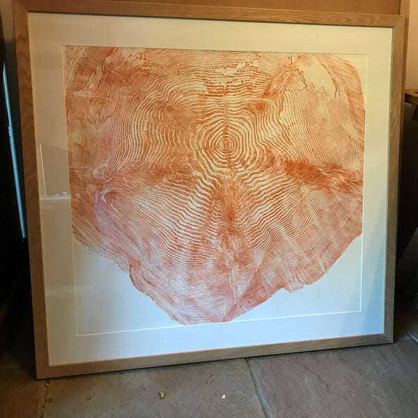 Douglas fir wood print