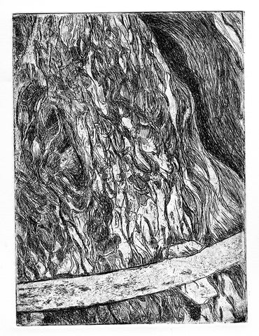 yew tree bark etching