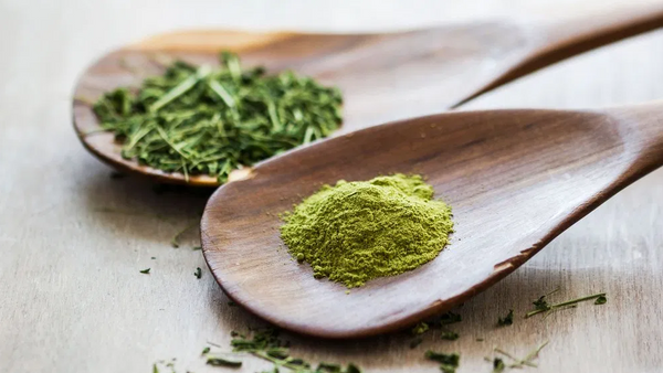 Moringa powder