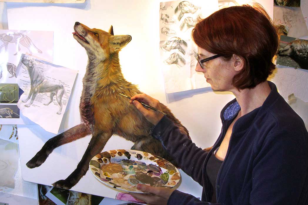 Expectant Fox painting by Hazel Mountford in progress