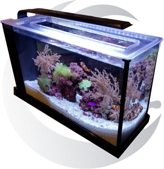 kans energie vloeiend My Reef Retreat - 5 Gallon Nano Tank Complete Reef Setup - Pacific East  Aquaculture