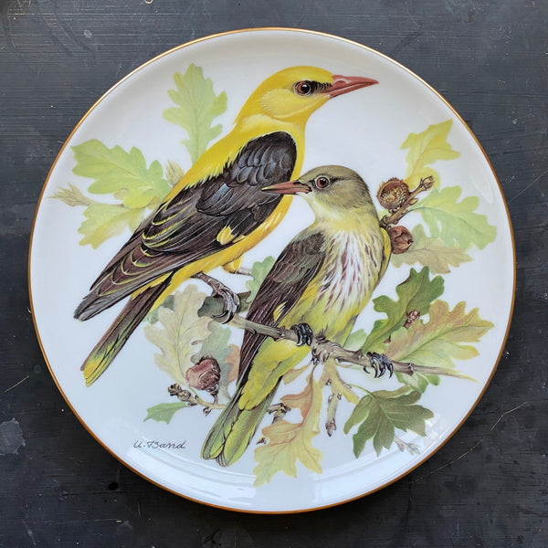 Tirschenreuth Songbirds of Europe Plate Golden Oriole by Ursula Band