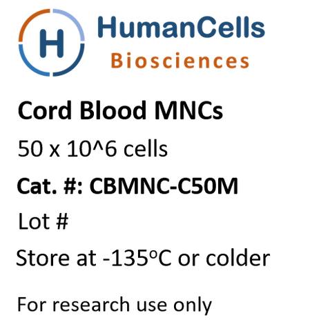 human cord blood monoculcear cells, CB MNCs