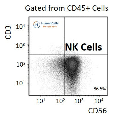 Human Normal Peripheral Blood CD56+ NK Cells