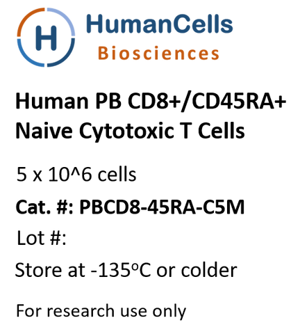 Human Normal Peripheral Blood CD8+/CD45RA+ Naive Cytotoxic T Cells