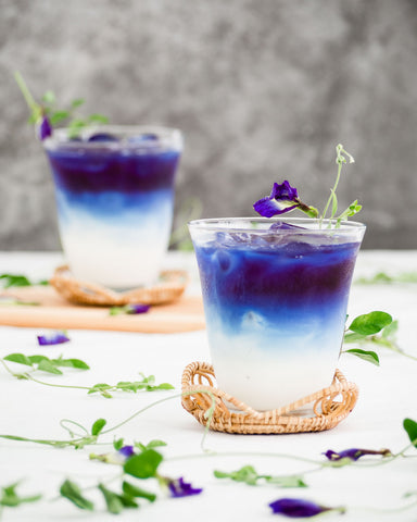 butterfly pea flower tea with milk the amazing tea company