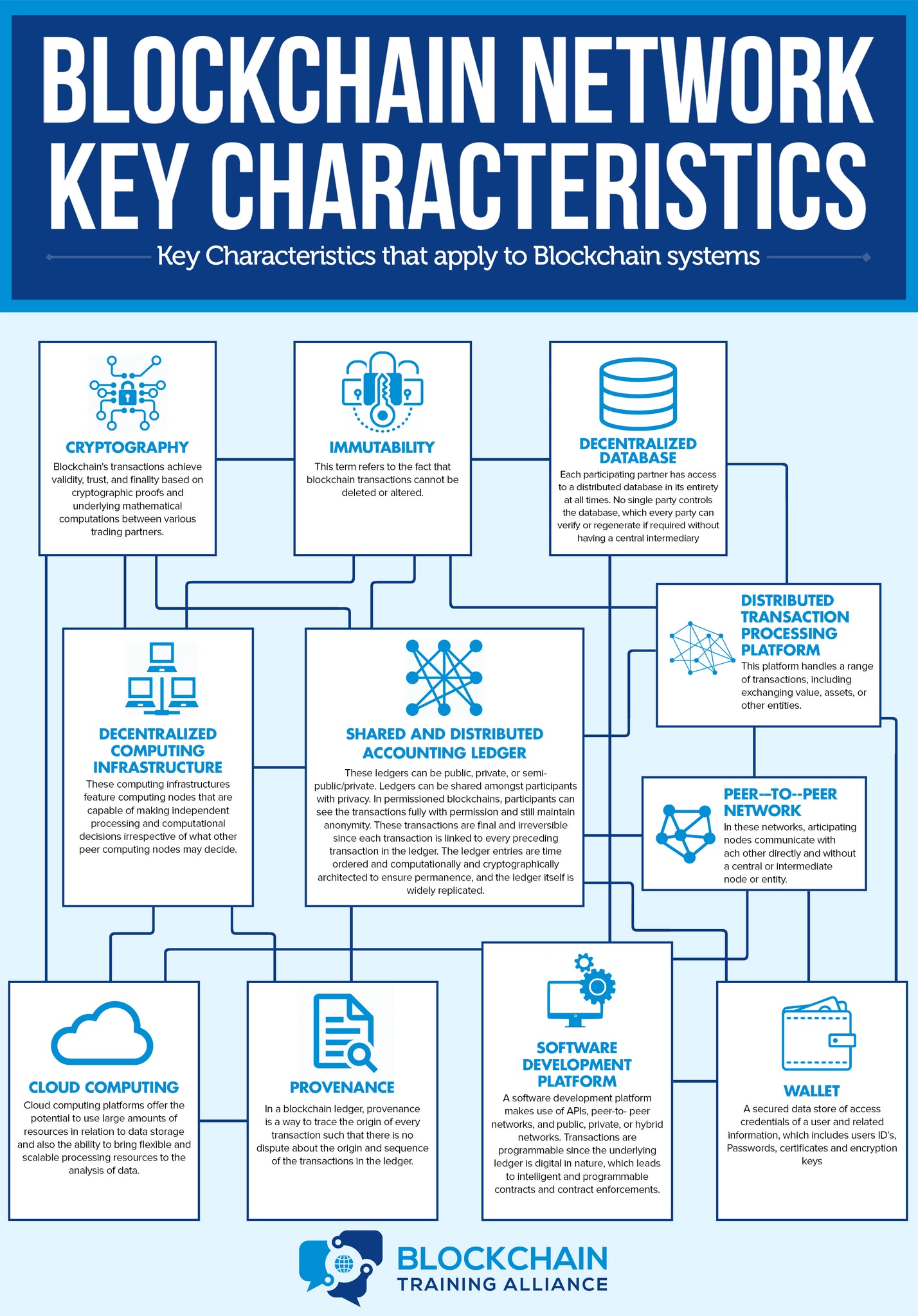 Blockchain Network Key Characteristics