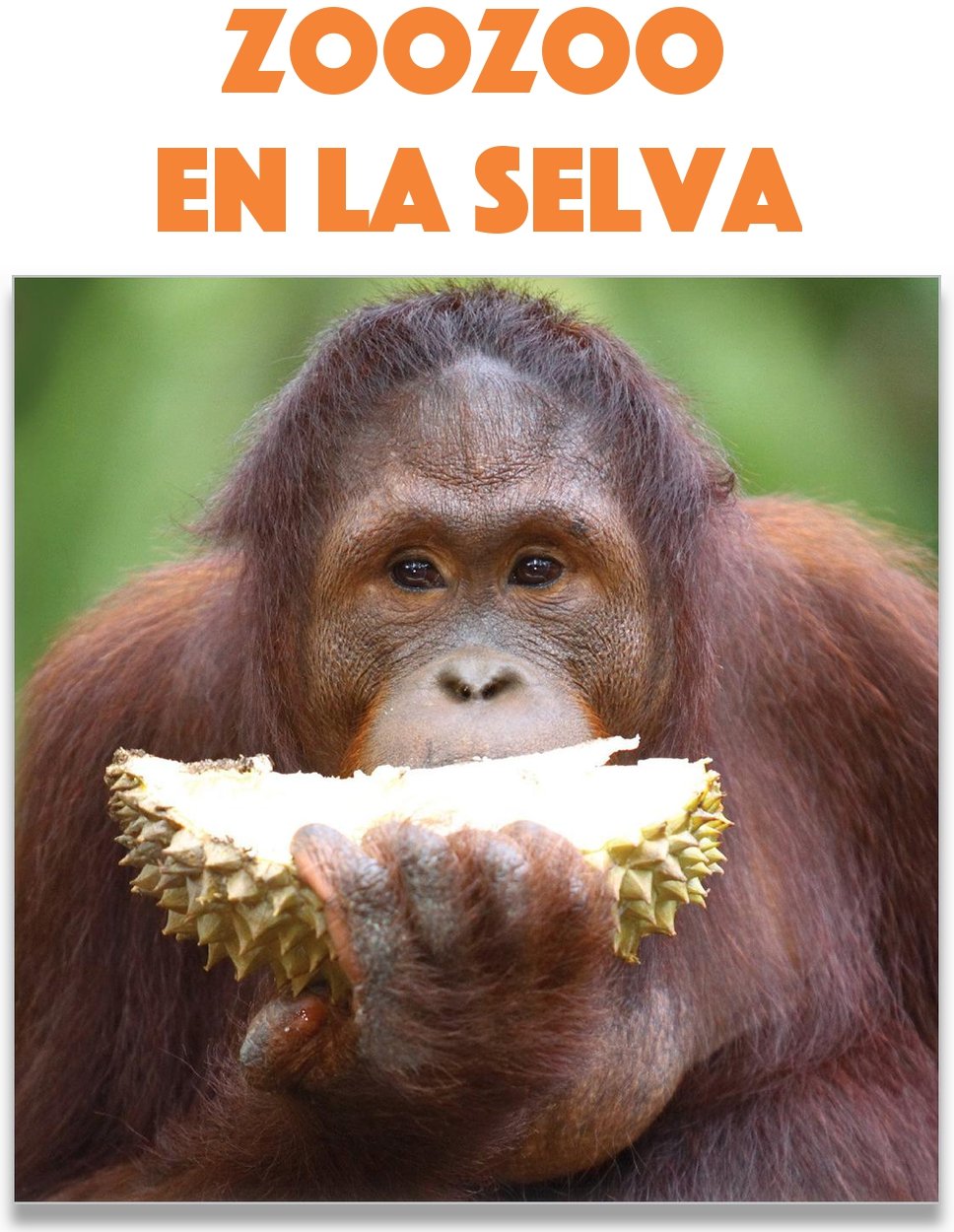 Zoozoo En la Selva