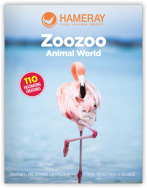 Zoozoo Animal World Brochure