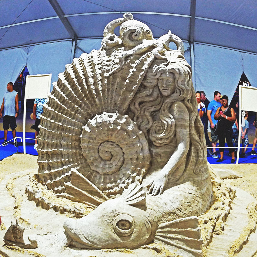 Seven Sharks At Virginia Beach Neptune Fest 2018 Sand Castle War