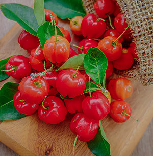 Photo of a group of fresh Acerola fruit and stems being emptied on a cutting board from a hemp bag