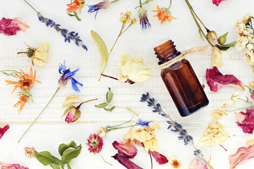 a selection of flowers and herbal ingredients for many popular Essential Oils