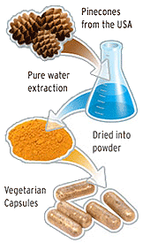Diagram of How Allera ImmunExtra is produced