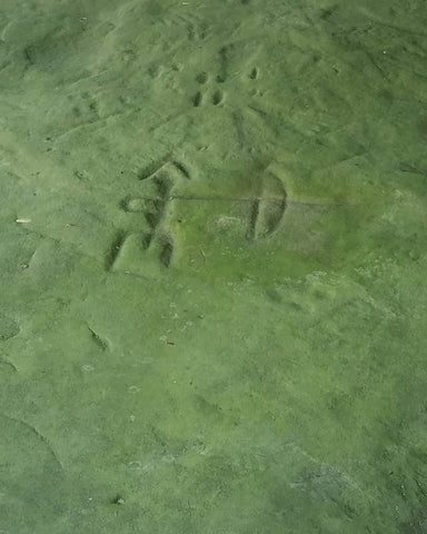 Travel The Mitten Instagram | Sanilac Petroglyphs Historic State Park