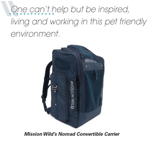 Photo of Mission Wild's Nomad Convertible Carrier, available in Spring 2018
