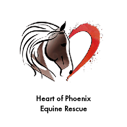 Heart of Phoenix Equine Rescue - UGP Client Case Study