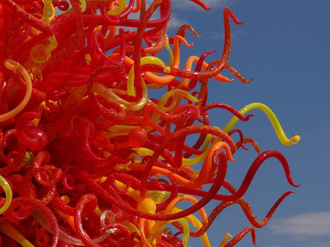 Dale Chihuly Sculpture at Denver Botanic Gardens