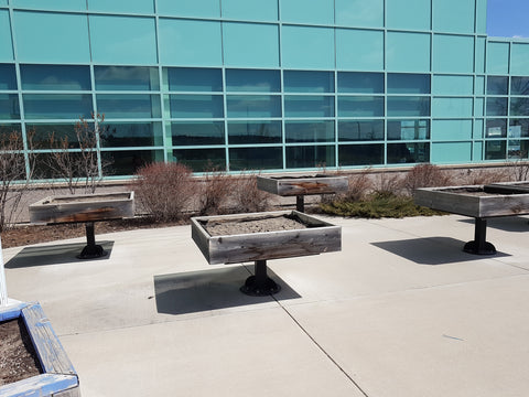 Wind-blown soil in raised planters at Alberta Children's Hospital