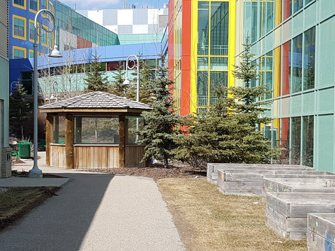 Secret Garden at Alberta Children's Hospital