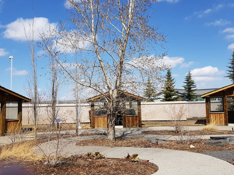 Prairie sky at Alberta Children's Hospital