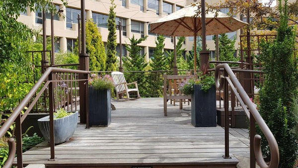 Therapeutic Terrace Garden overlooking Children's Garden