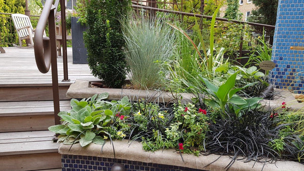 Therapeutic Terrace Garden at Legacy Health