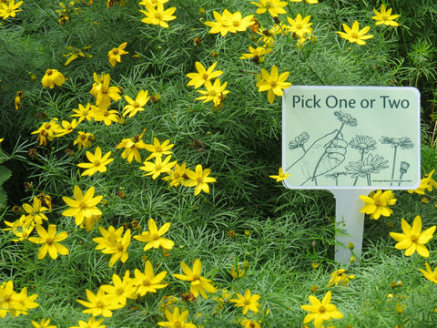 Tips for ordering Garden Activity Signs