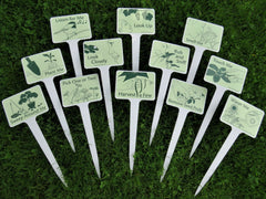 Set of 12 plantable garden activity signs