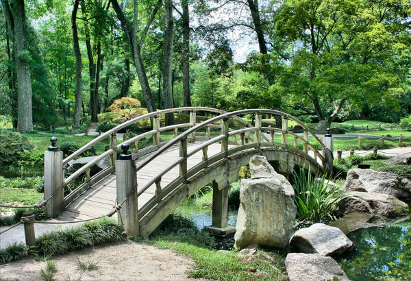 A wooden bridge over a river in a peaceful forest.