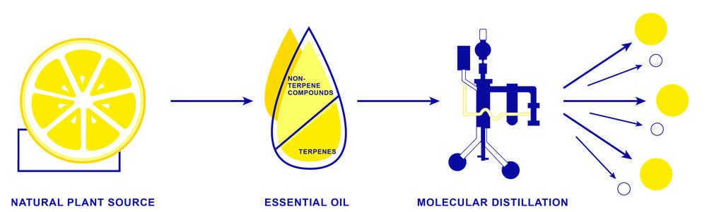 Difference between essential oils and terpenes