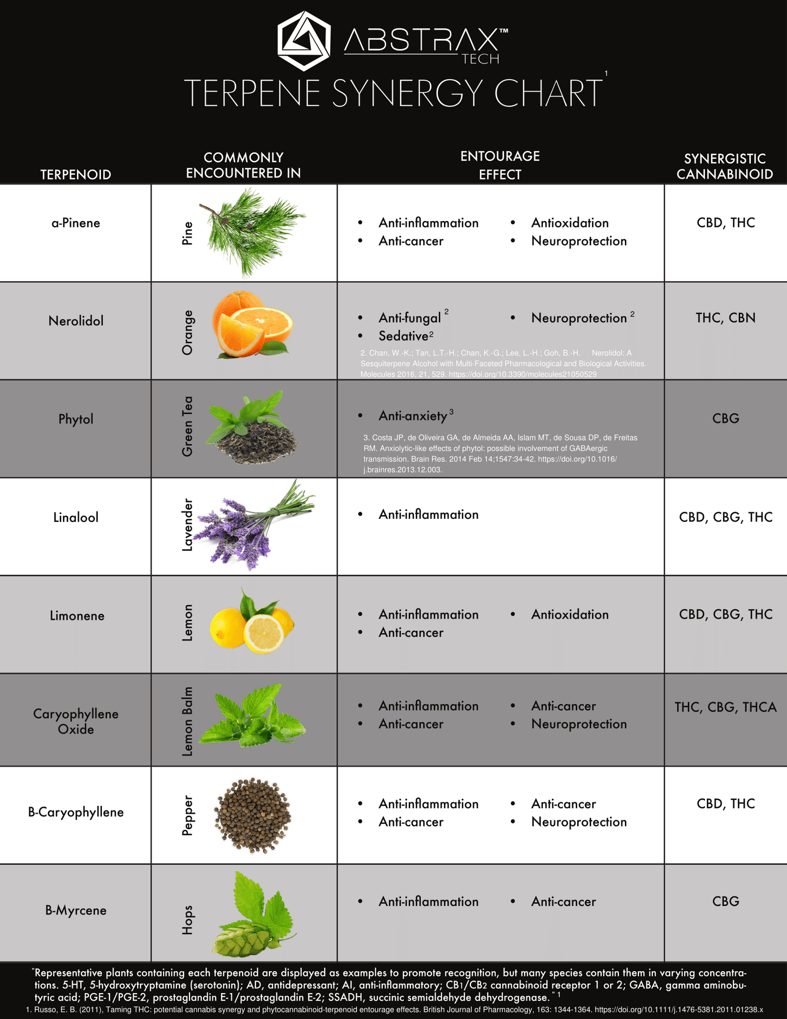 terpene synergy entourage effect chart abstraxtech