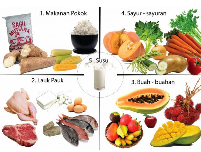 Daftar Menu Makanan 4 Sehat 5 Sempurna Hanako Babyshop