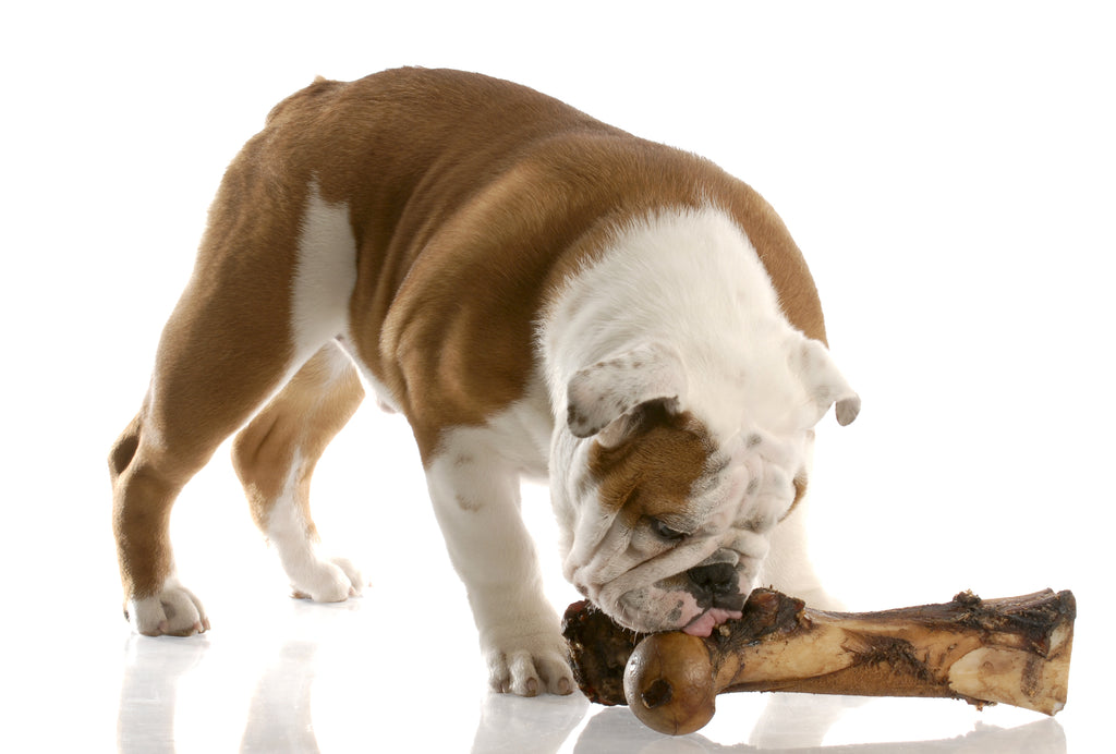 digestible dog chews