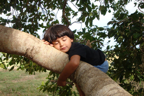 Tree Hugging in Sri Lanka