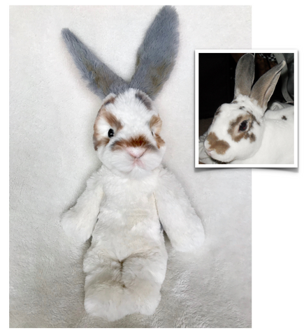 Custom Plush Bunny Stuffed Animal Pet