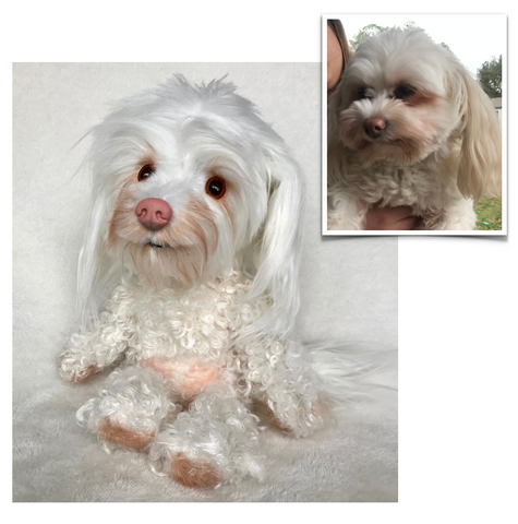 Mixed Breed Plush Dog, Custom Stuffed Animal, Mutt