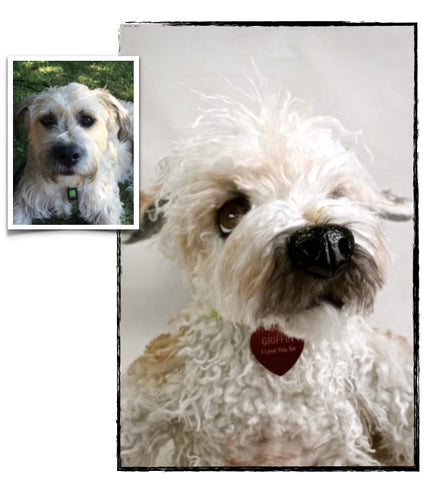 Goldendoodle Stuffed Animal Plush