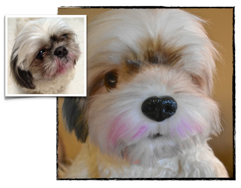 Shih Tzu Plush Dog, Custom Stuffed Animal