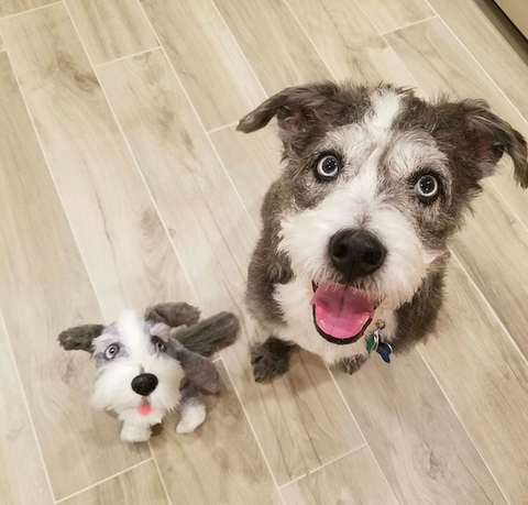 Custom Stuffed Dog, Terrier Pet Replica