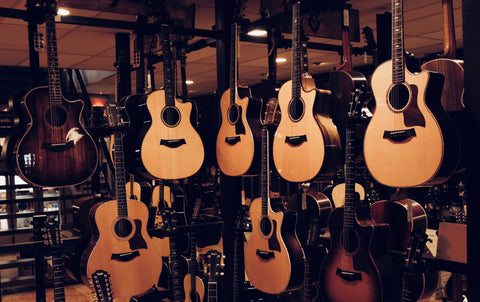 Taylor Guitars Dijkmans Muziek