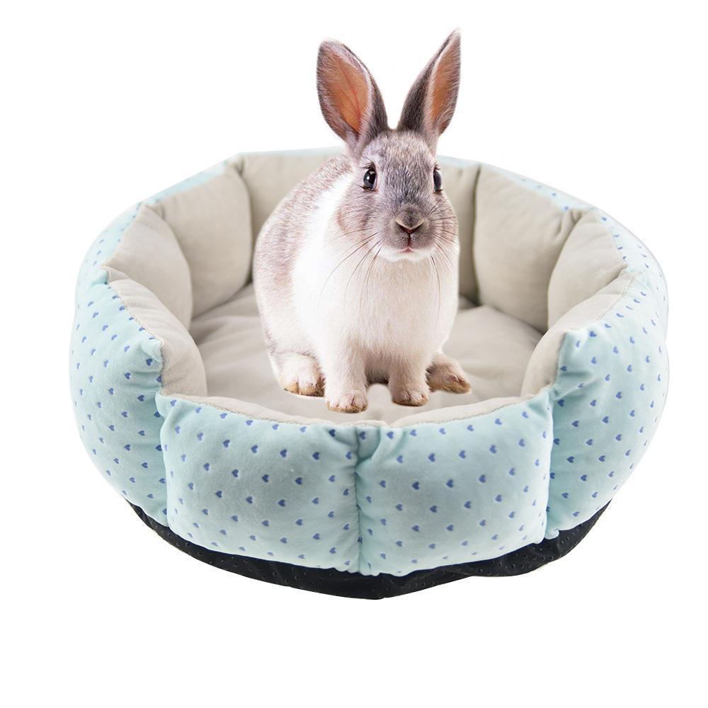 Best Rabbit Supplies &amp; Products (Free Shipping) Bunny 