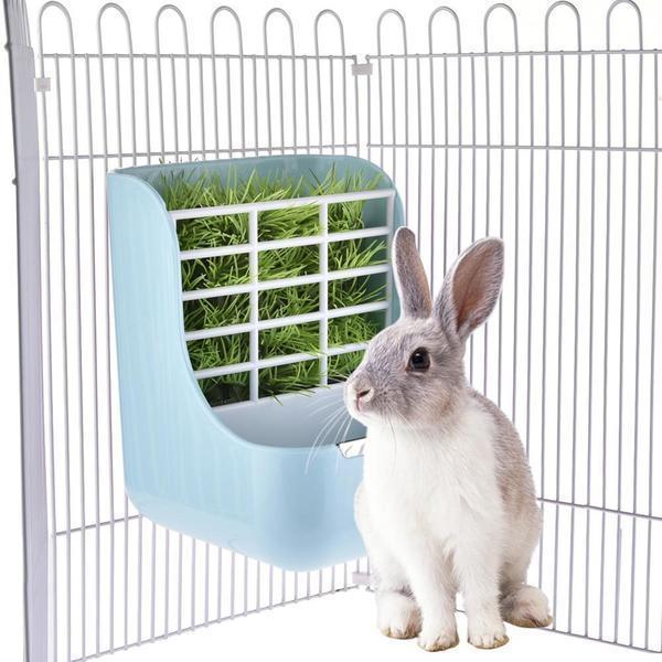 pet rabbit accessories