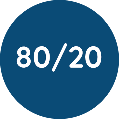 80/20 icon