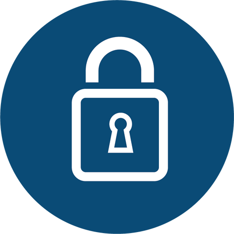 security icon