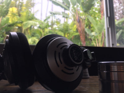 Backlit Headphones Against Trees