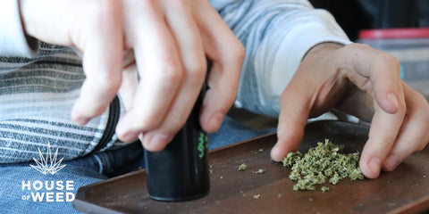 alt='' consumo cannabis marihuana adolescente ''