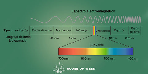 alt='' ampolleta sodio haluro iluminacion cultivo cannabis indoor ''.jpg