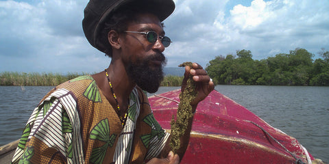 alt = '' movimiento rastafari ganja cannabis ''.jpg